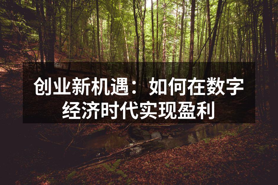 创业新机遇：如何在数字经济时代实现盈利