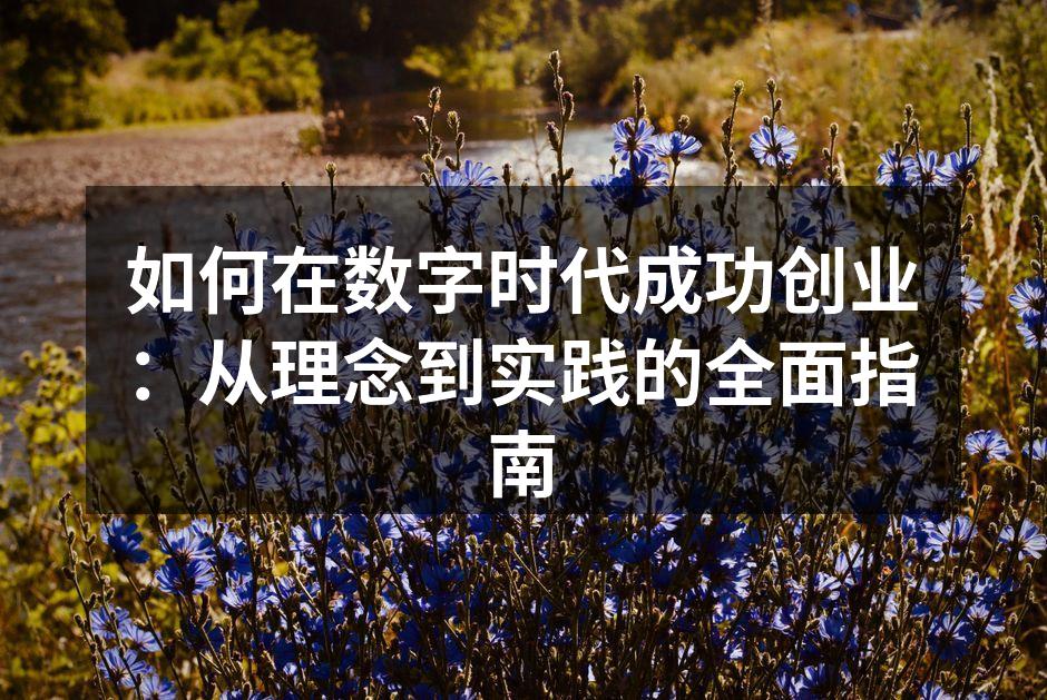 如何在数字时代成功创业：从理念到实践的全面指南