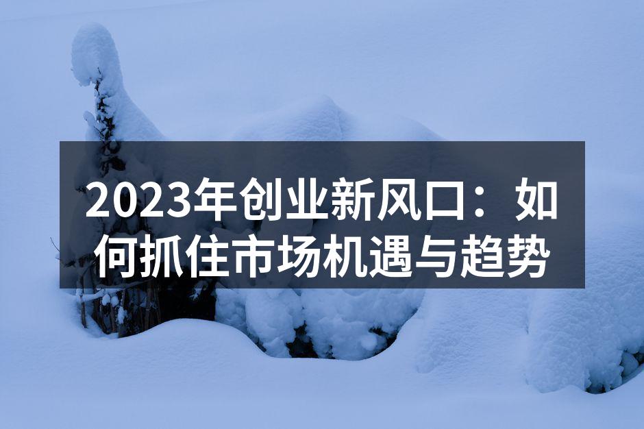 2023年创业新风口：如何抓住市场机遇与趋势
